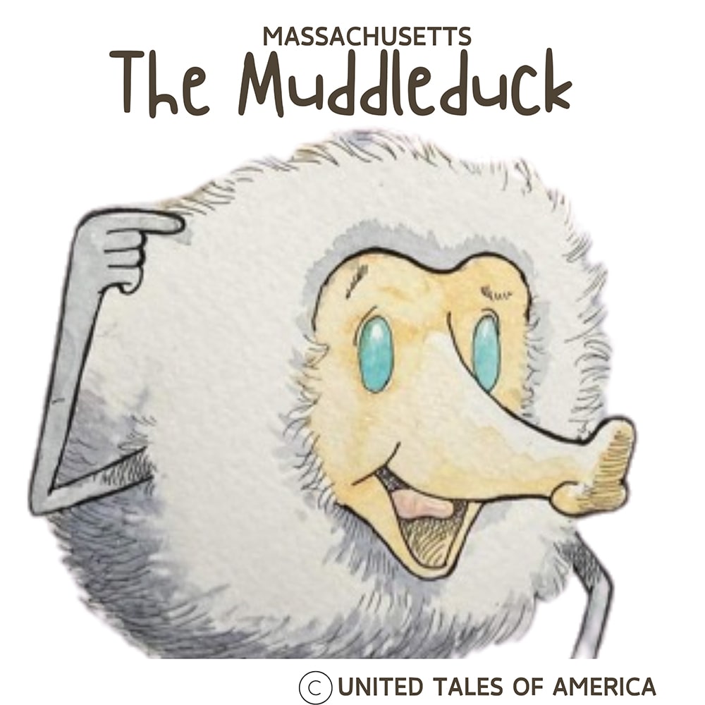 The Massachusetts Muddleduck